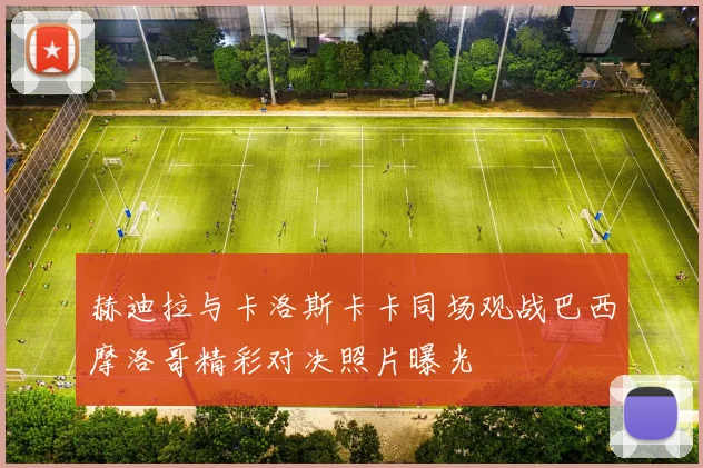 赫迪拉与卡洛斯卡卡同场观战巴西摩洛哥精彩对决照片曝光