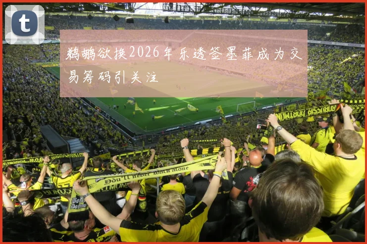 鹈鹕欲换2026年乐透签墨菲成为交易筹码引关注