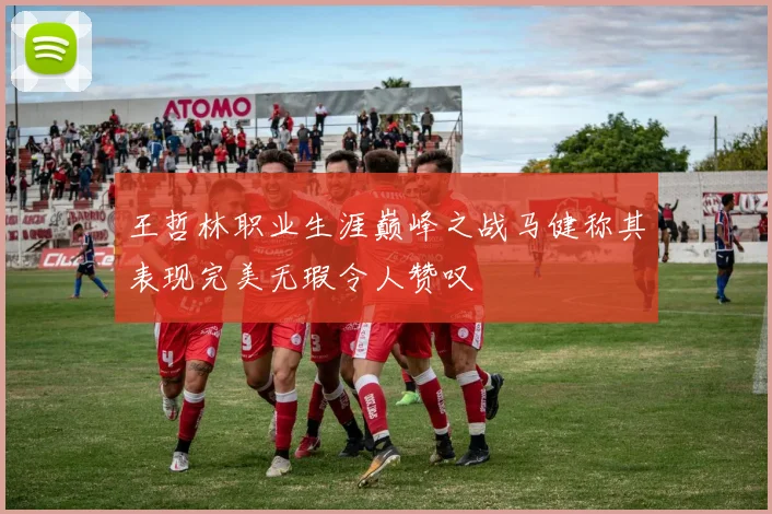 王哲林职业生涯巅峰之战马健称其表现完美无瑕令人赞叹